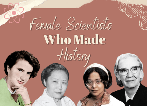 Female Scientists Who Changed the World